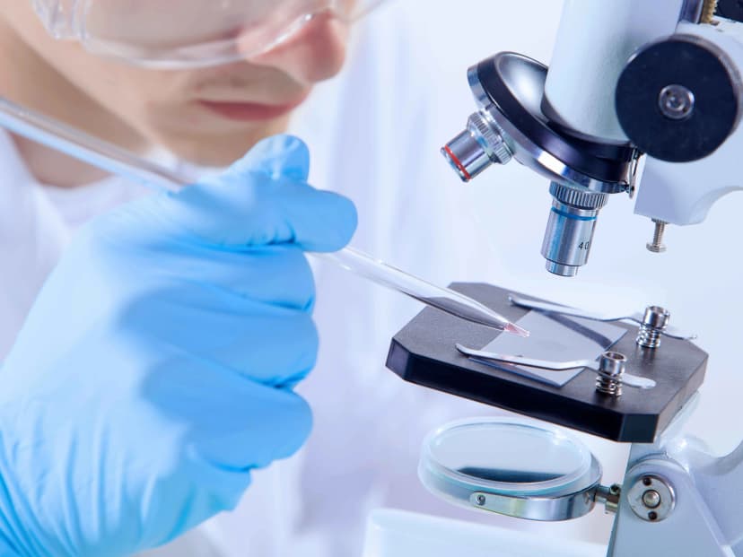 NBM-BMX於膠質母細胞瘤 Ib/II 期臨床試驗 article image