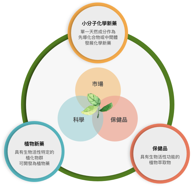 strategy-2